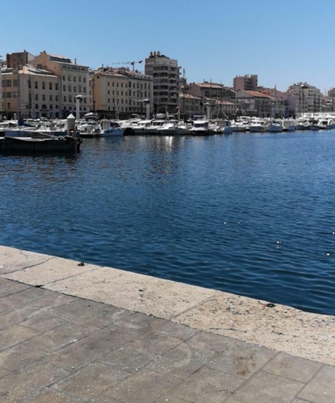 L'Appart Du Vieux Port Daire Marsilya Dış mekan fotoğraf